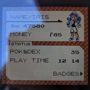 Analogue Pocket screen under shade.