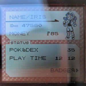 A GameBoy Color screen in shade.